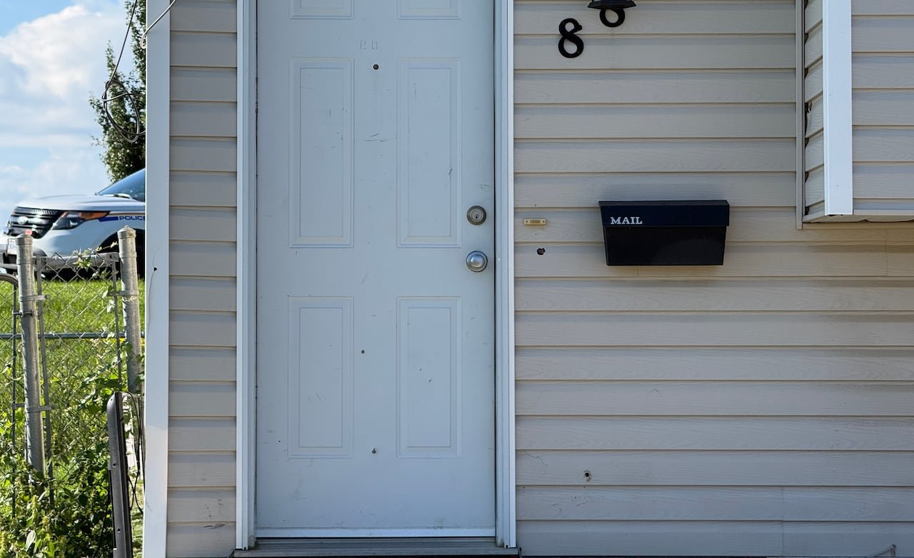 default-272 bullet holes visible on the front door of a residential home with beige vinyl siding