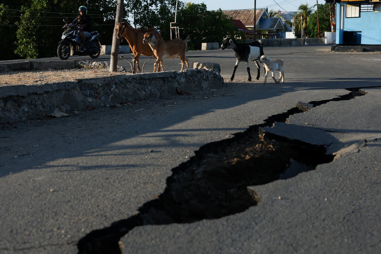 A large crack in a road is shown, with a group of animals moving nearby.